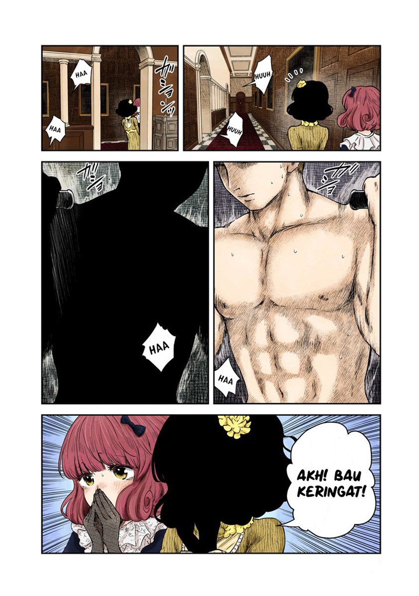 Shadows House