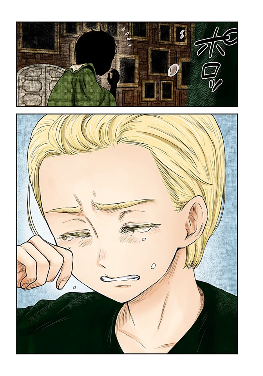 Shadows House