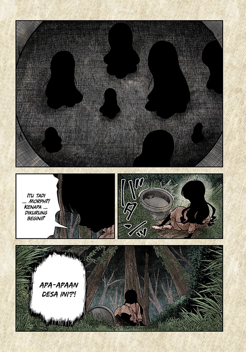 Shadows House