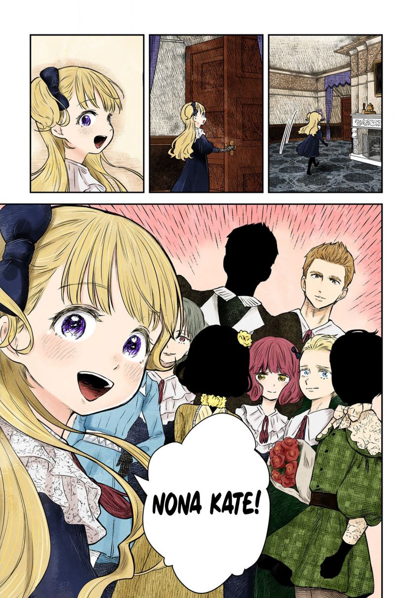 Shadows House