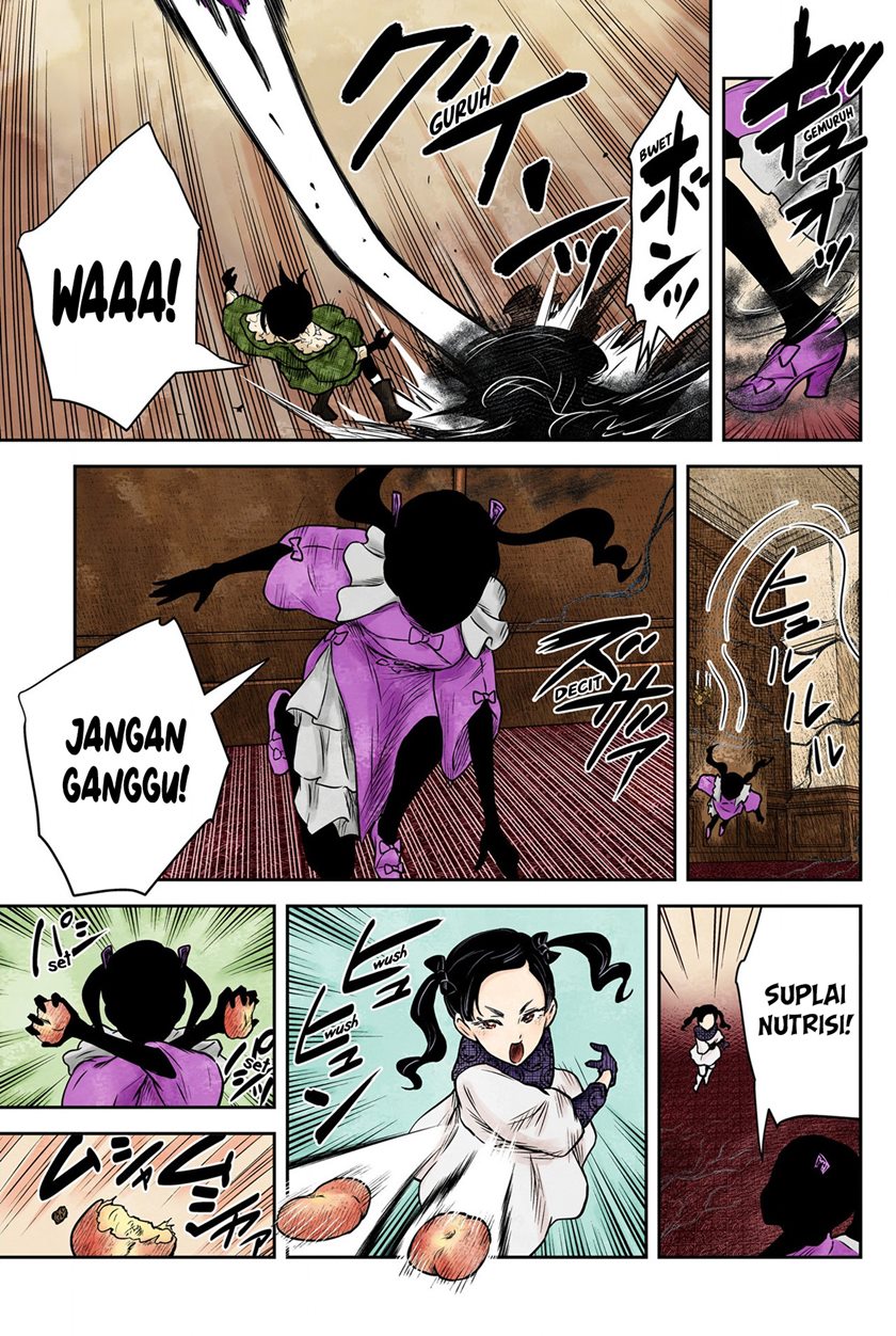 Shadows House