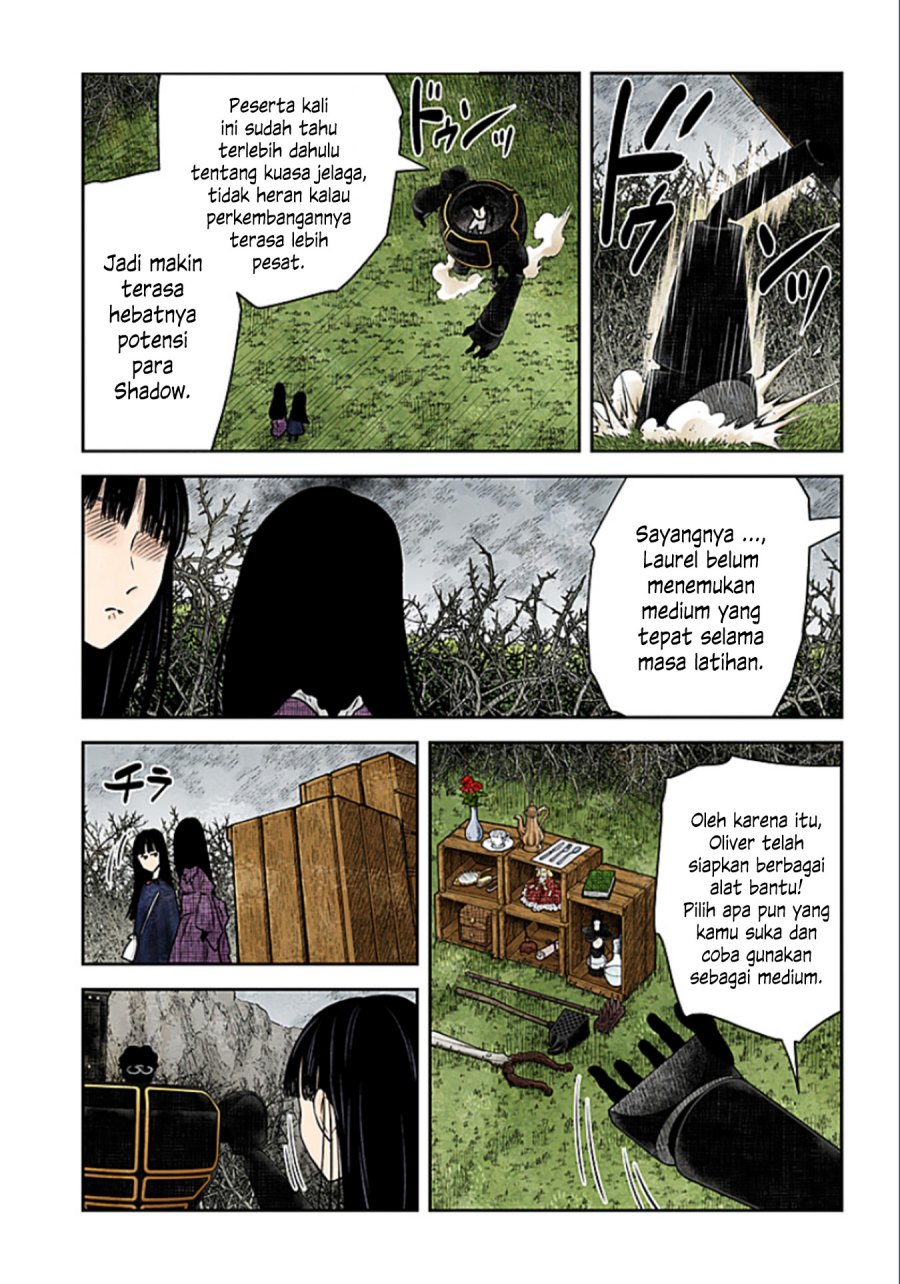 Shadows House