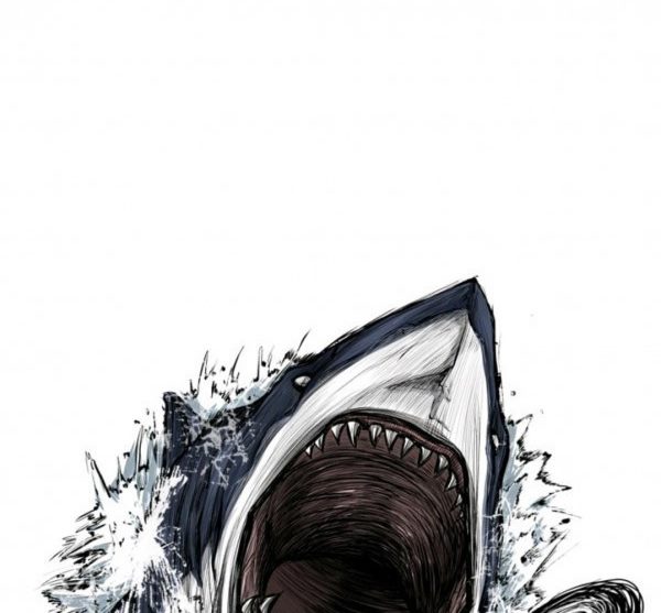 Shark
