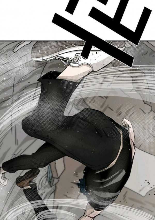 Shark