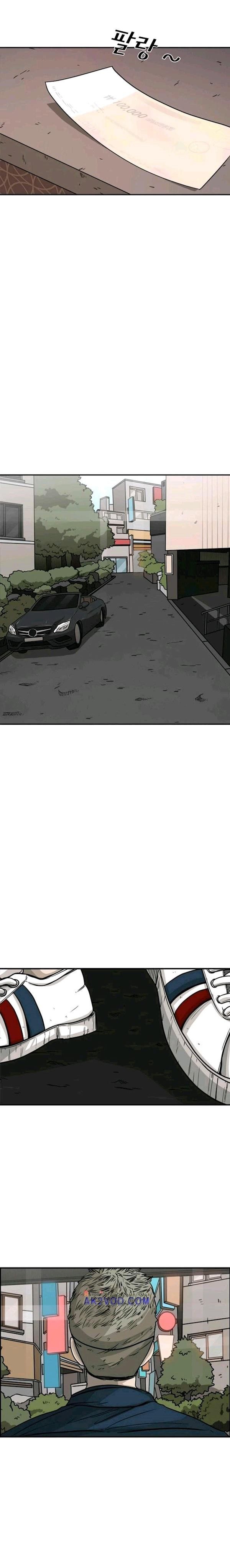 Shark