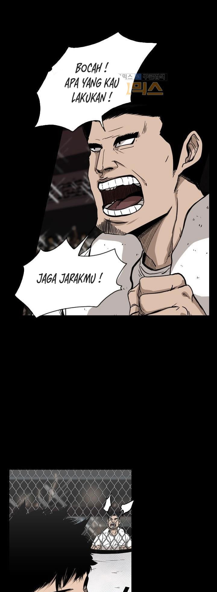 Shark