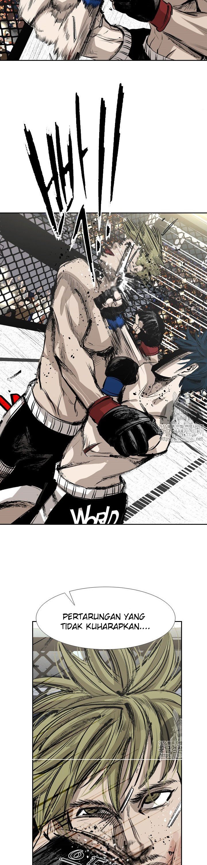 Shark