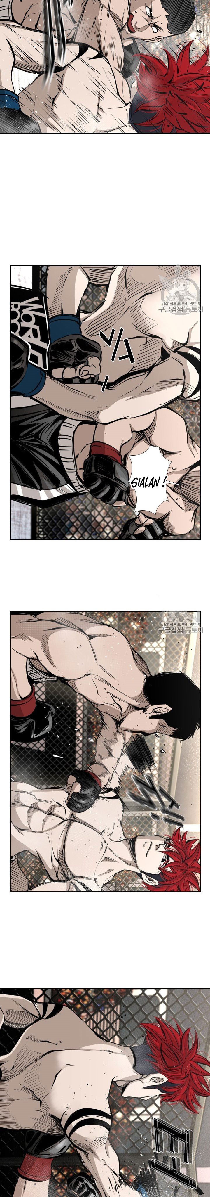 Shark