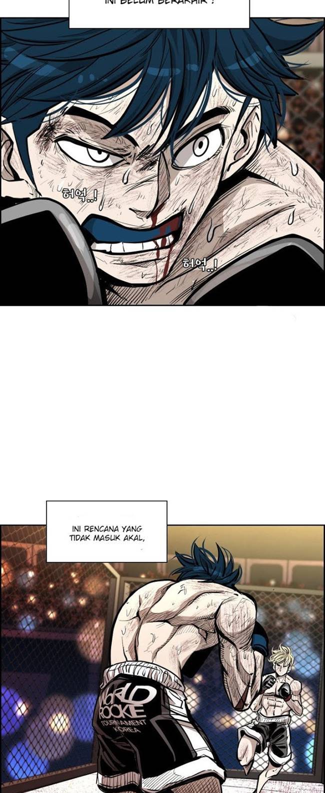 Shark