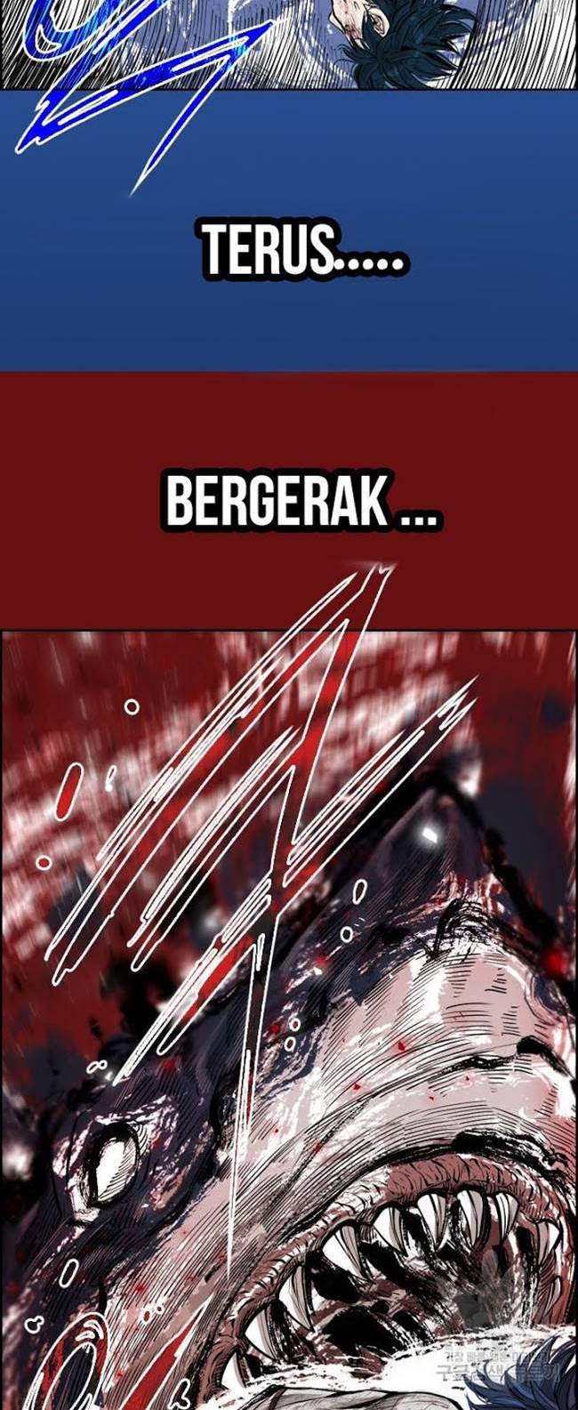 Shark