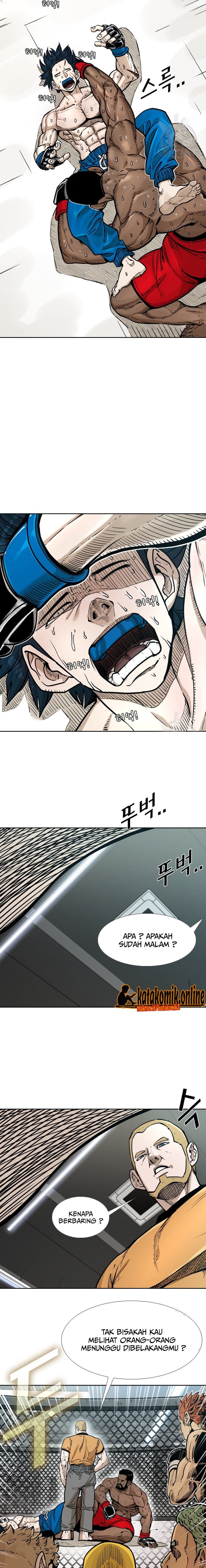 Shark