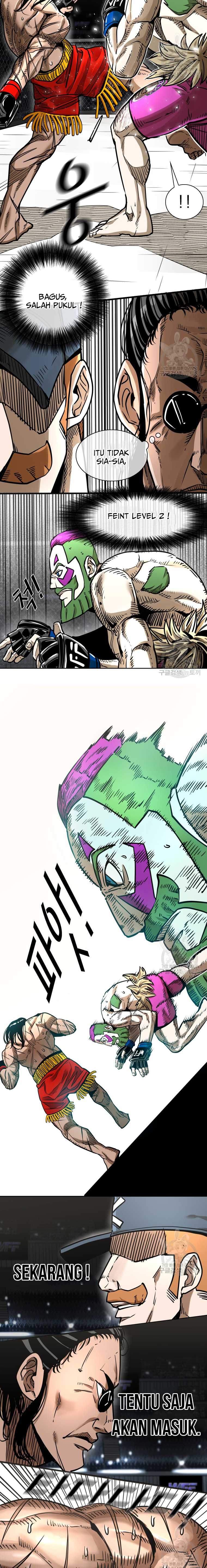 Shark