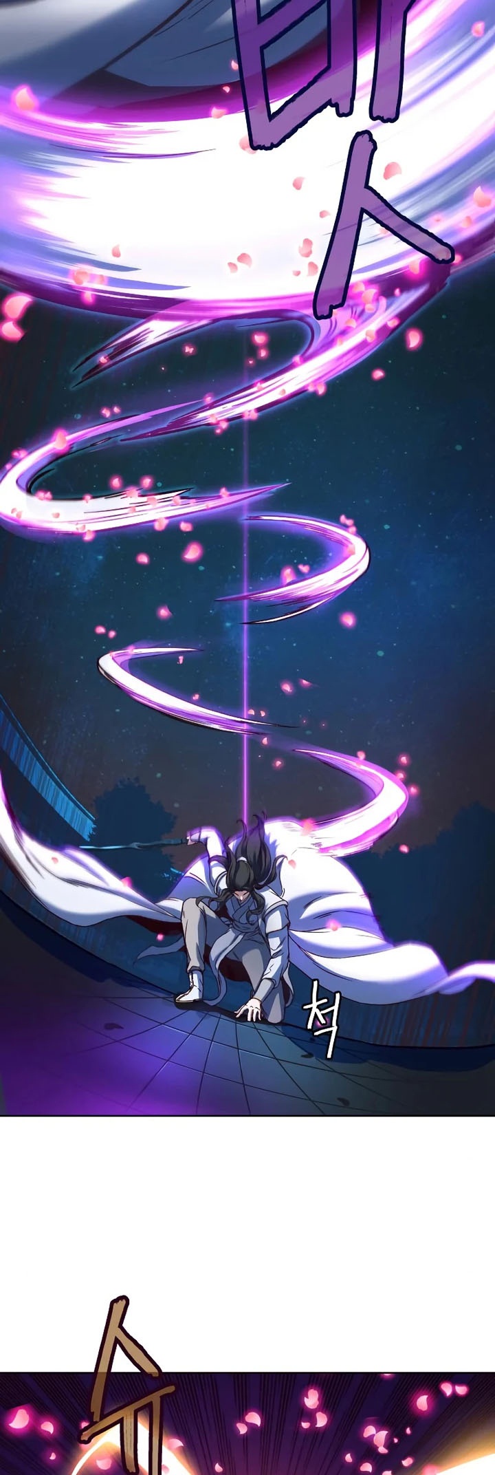 Sword Fanatic Wanders Through The Night