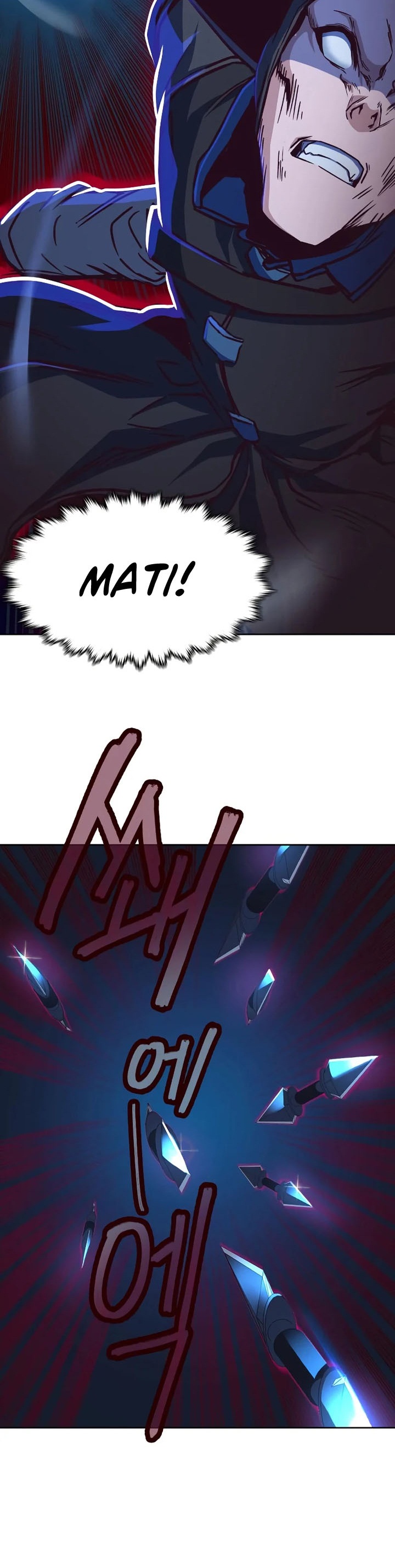 Sword Fanatic Wanders Through The Night