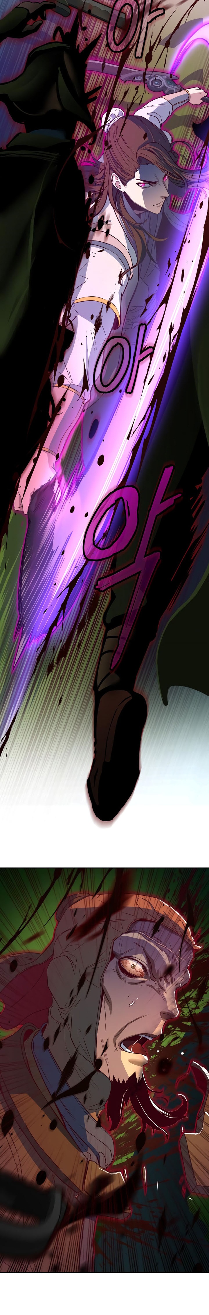 Sword Fanatic Wanders Through The Night