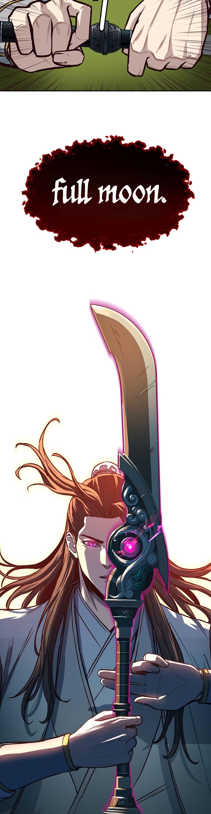 Sword Fanatic Wanders Through The Night