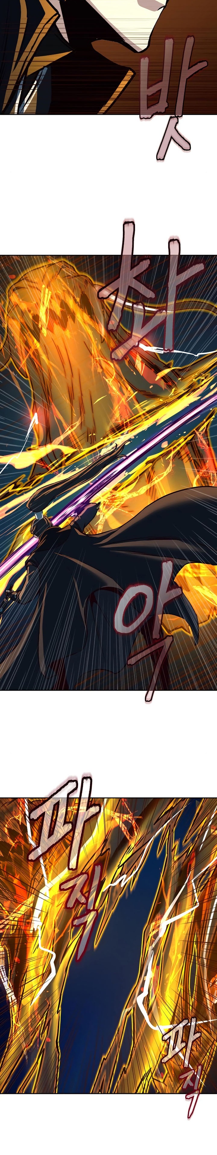 Sword Fanatic Wanders Through The Night