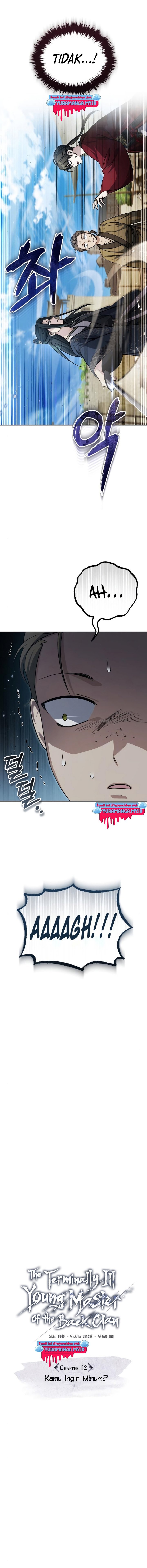 The Terminally Ill Young Master of the Baek Clan