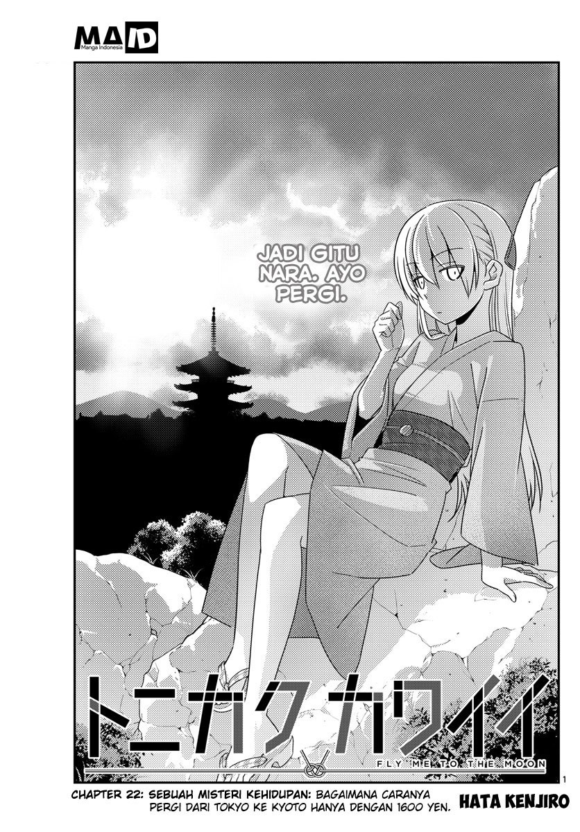 Tonikaku Kawaii