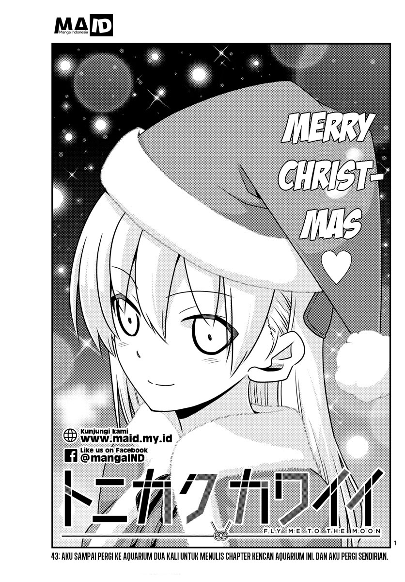 Tonikaku Kawaii