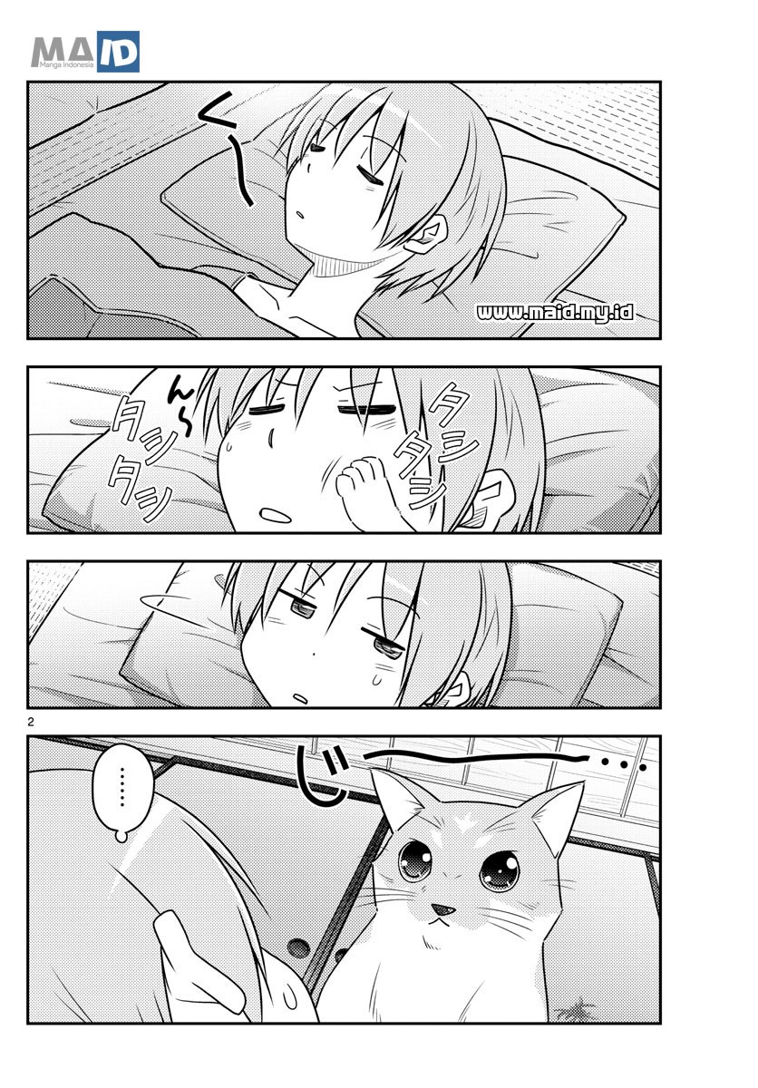 Tonikaku Kawaii