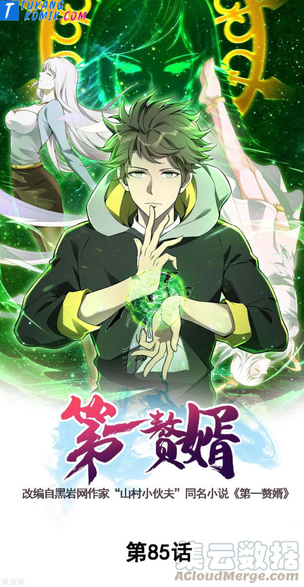 Useless First Son-In-Law (Magnificent Cohabiting Son-In-Law)