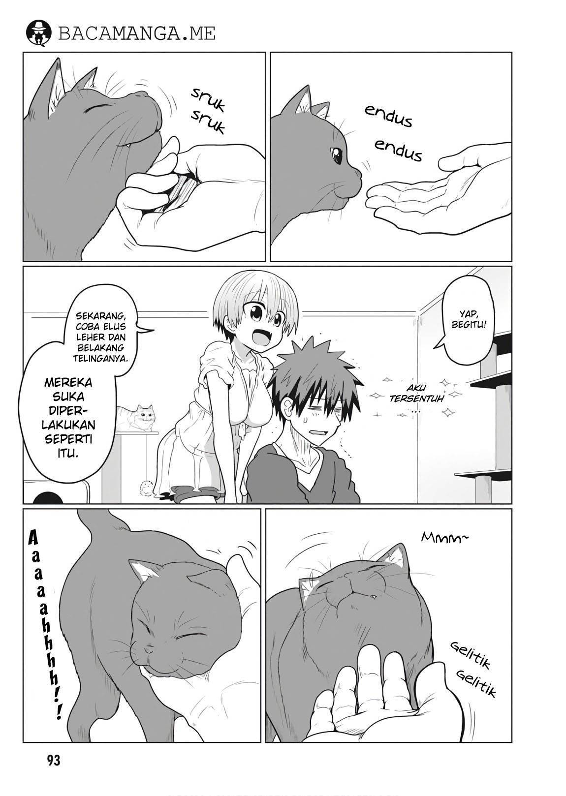 Uzaki-chan wa Asobitai!