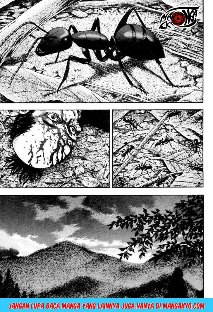 Vagabond