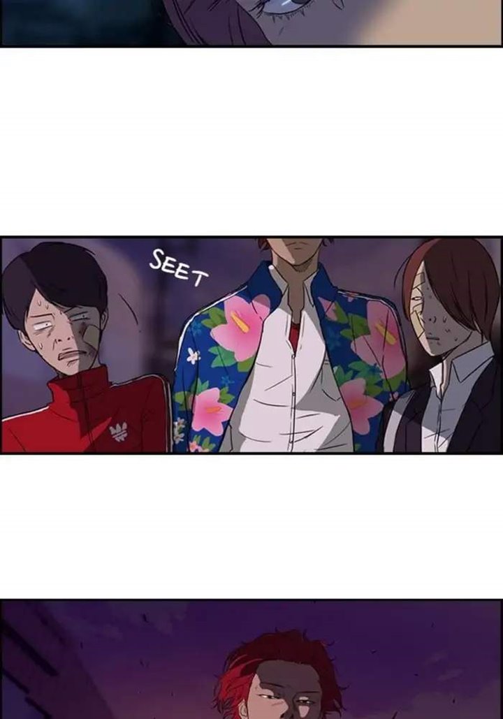 Wind Breaker