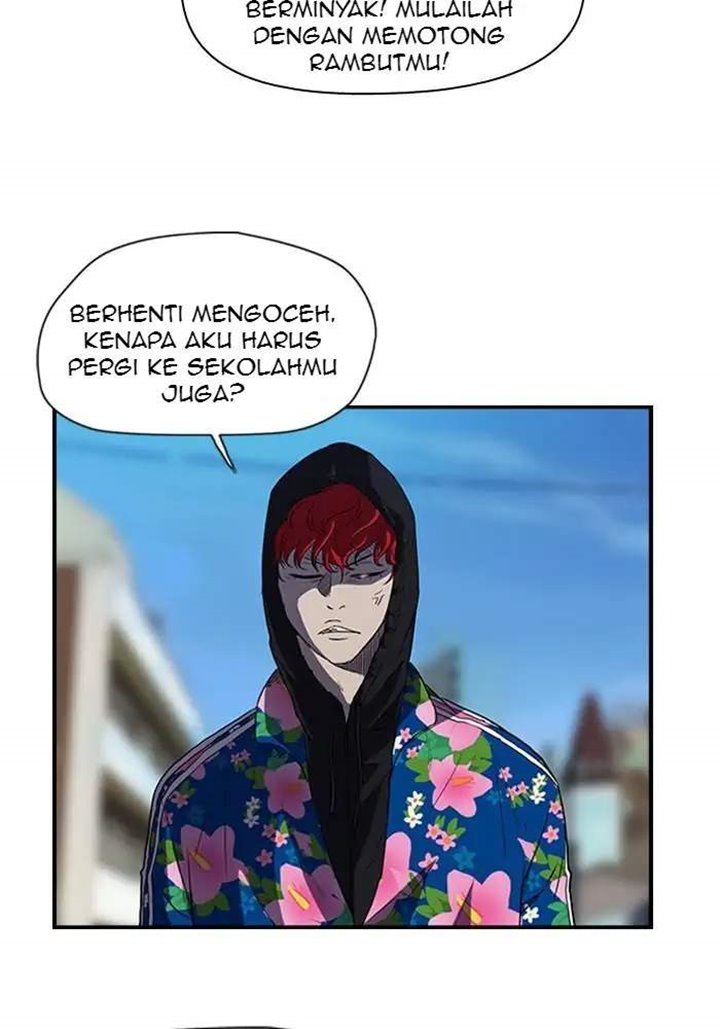 Wind Breaker