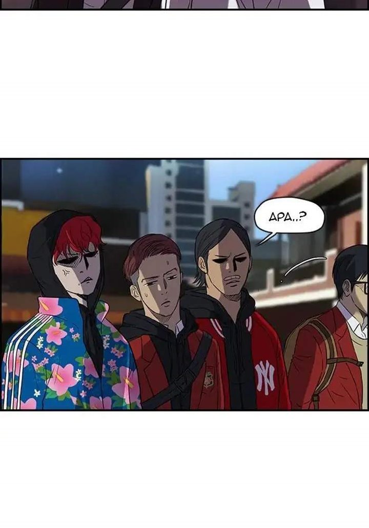 Wind Breaker