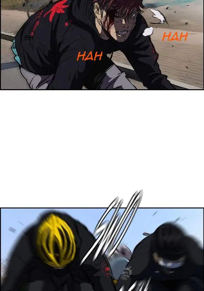Wind Breaker