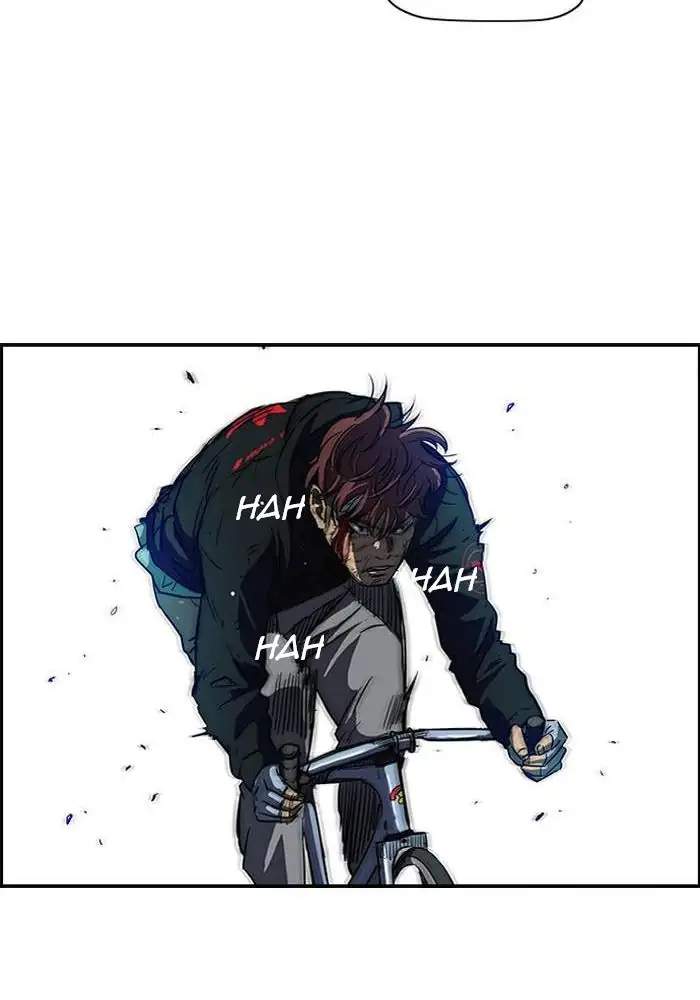 Wind Breaker