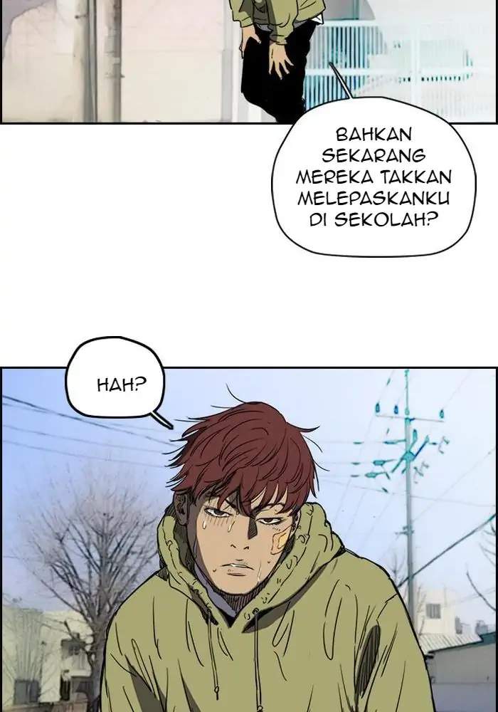 Wind Breaker