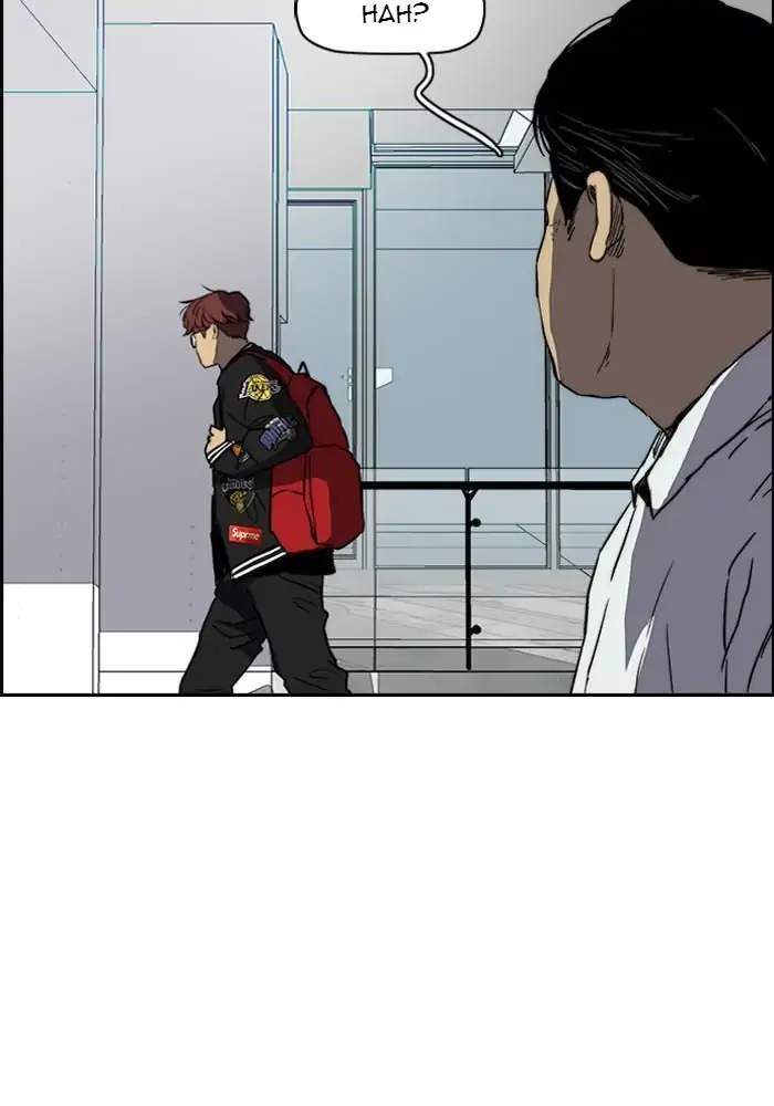 Wind Breaker