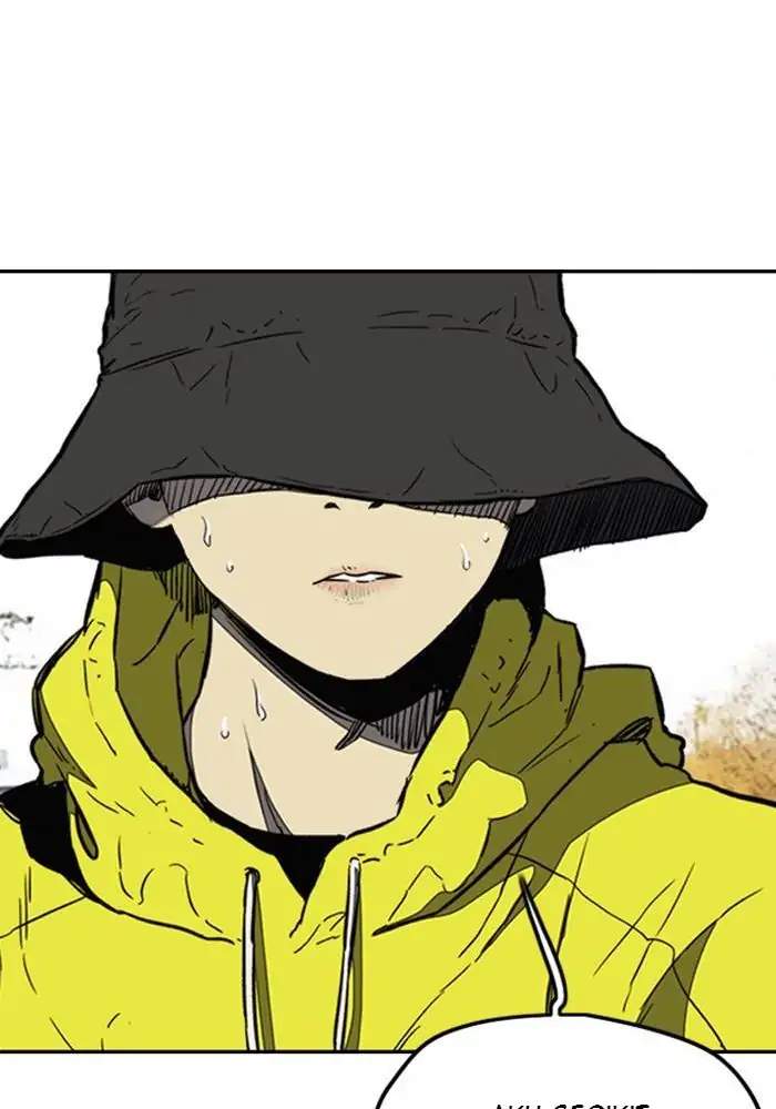 Wind Breaker