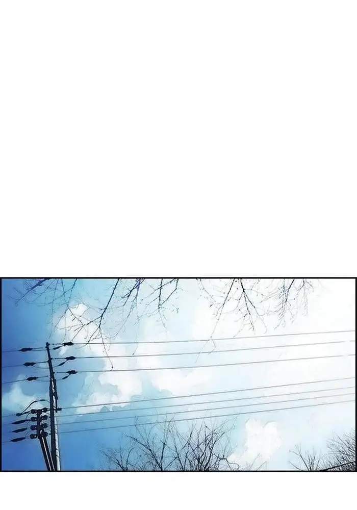 Wind Breaker