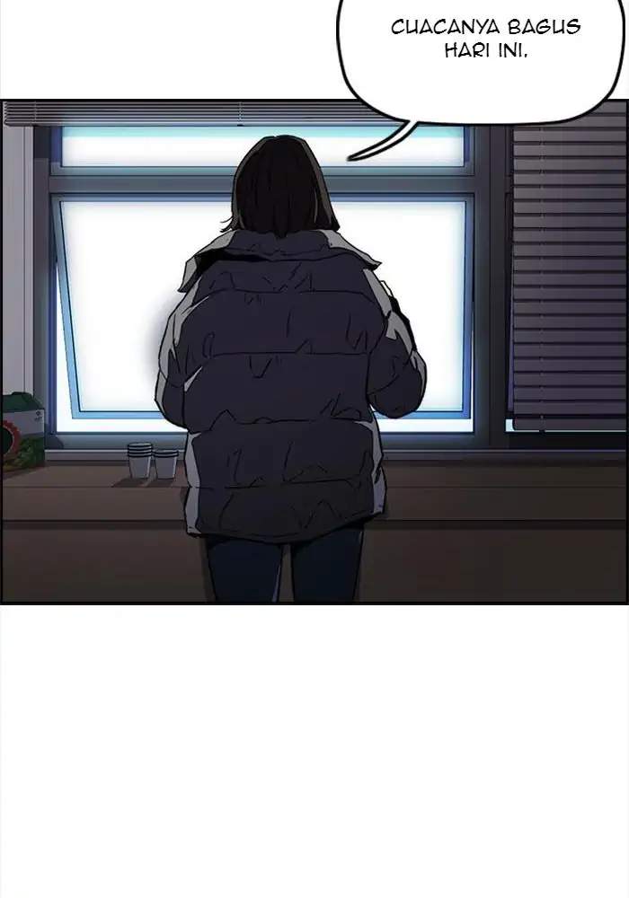 Wind Breaker