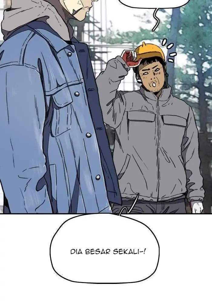 Wind Breaker