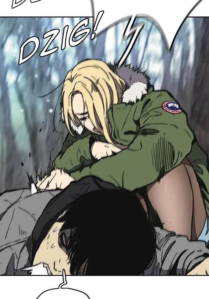 Wind Breaker