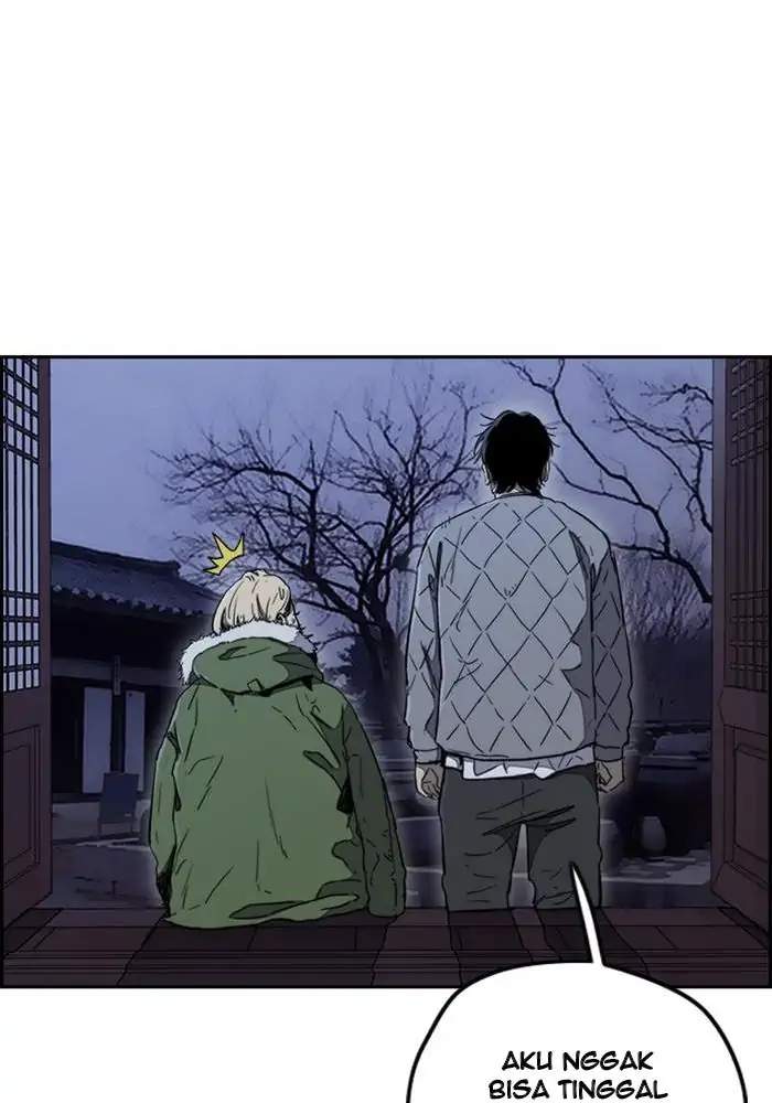 Wind Breaker