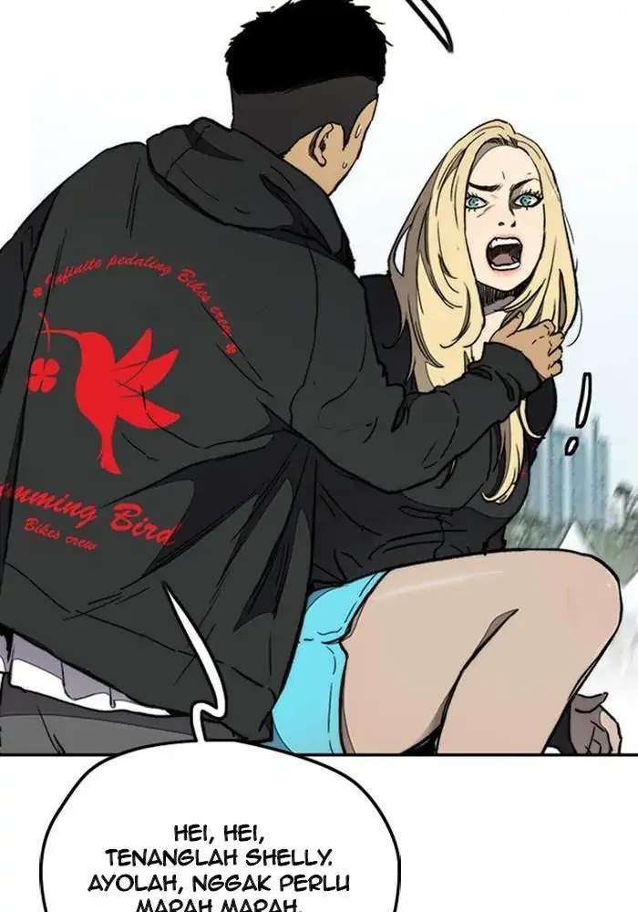 Wind Breaker
