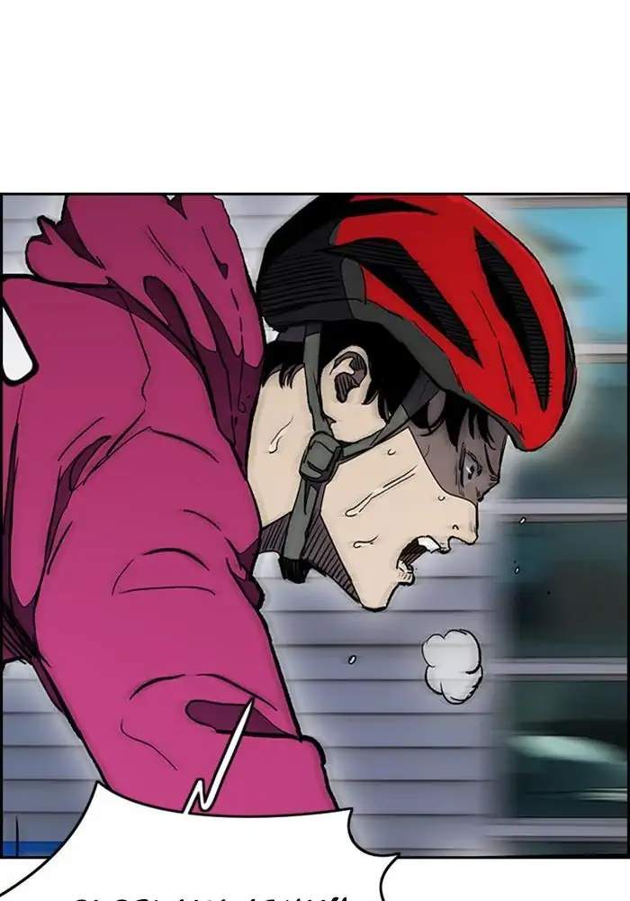 Wind Breaker