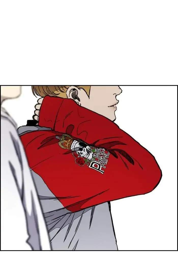 Wind Breaker