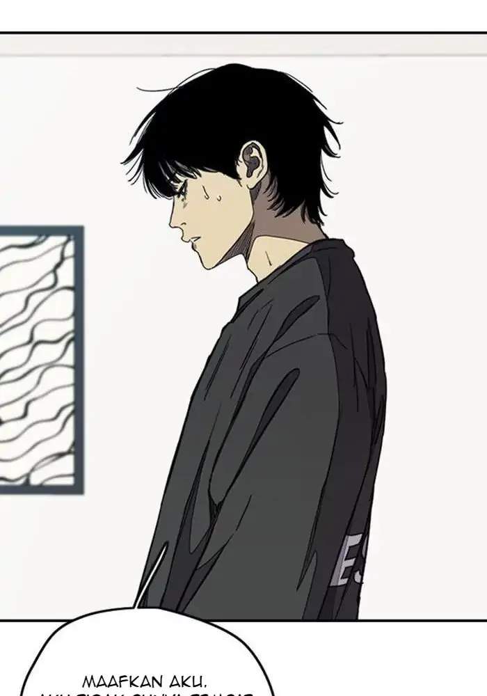 Wind Breaker