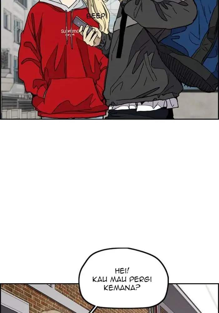 Wind Breaker