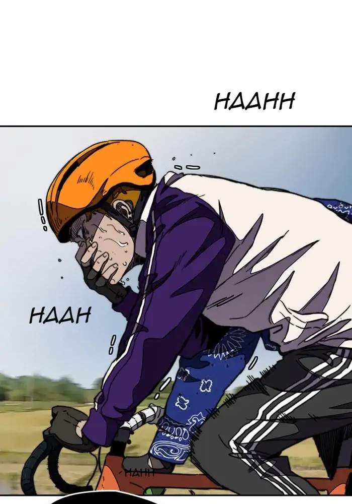 Wind Breaker
