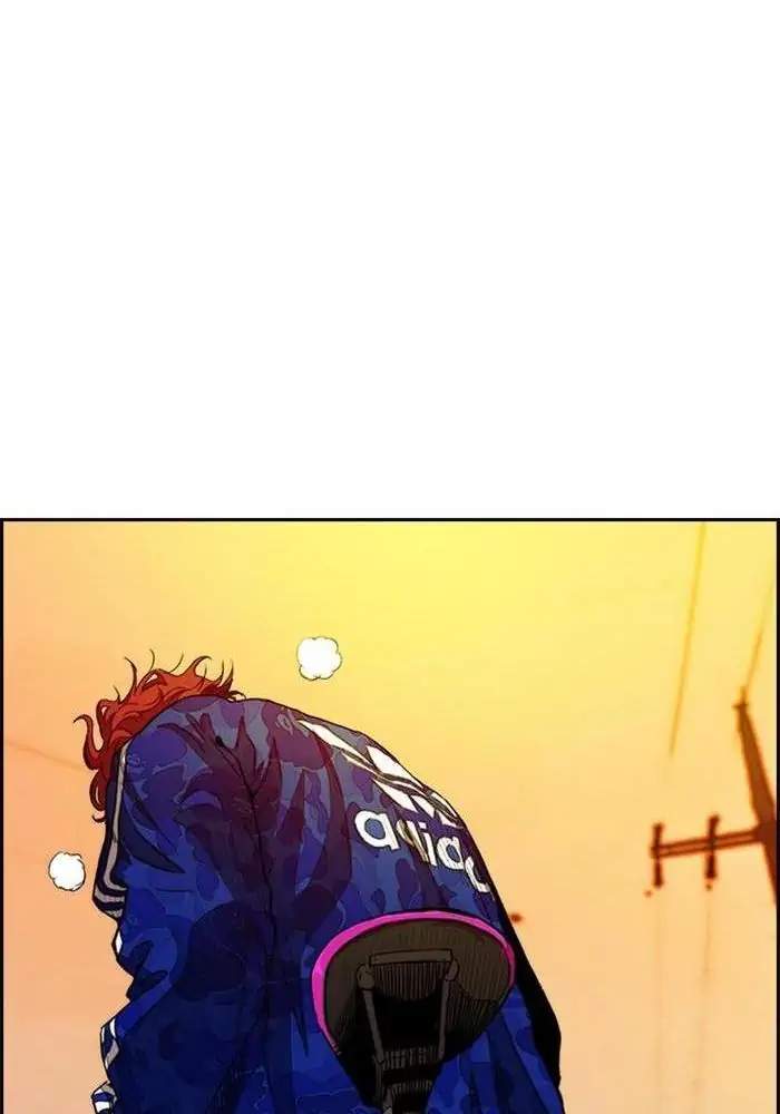 Wind Breaker