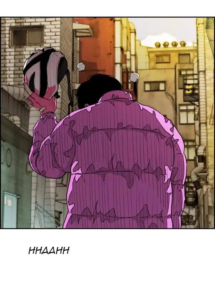 Wind Breaker