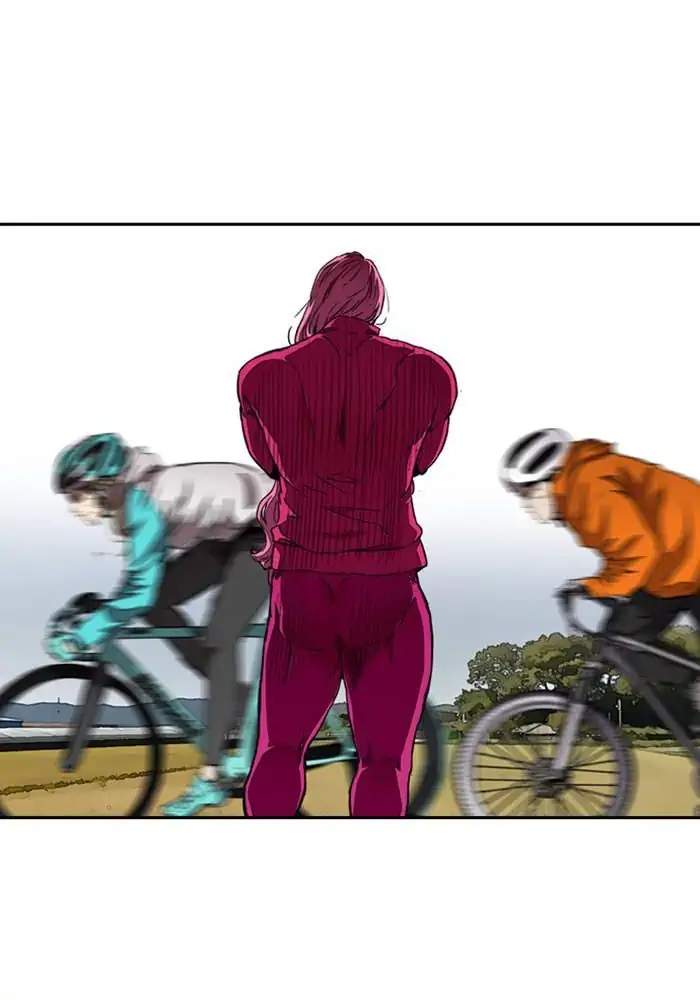 Wind Breaker